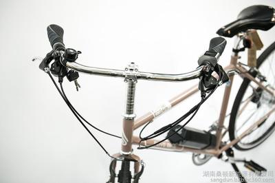 飞锂锂电电动自行车 时尚轻便的复古锐逸代步选择